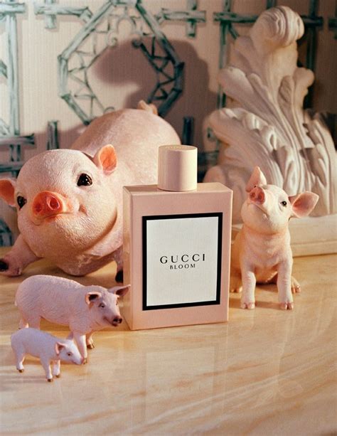 pig gucci chineese new year|gucci chinese new year capsules.